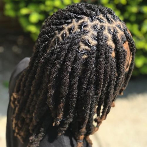 Two Strand Twist Dreadlock Hairstyle